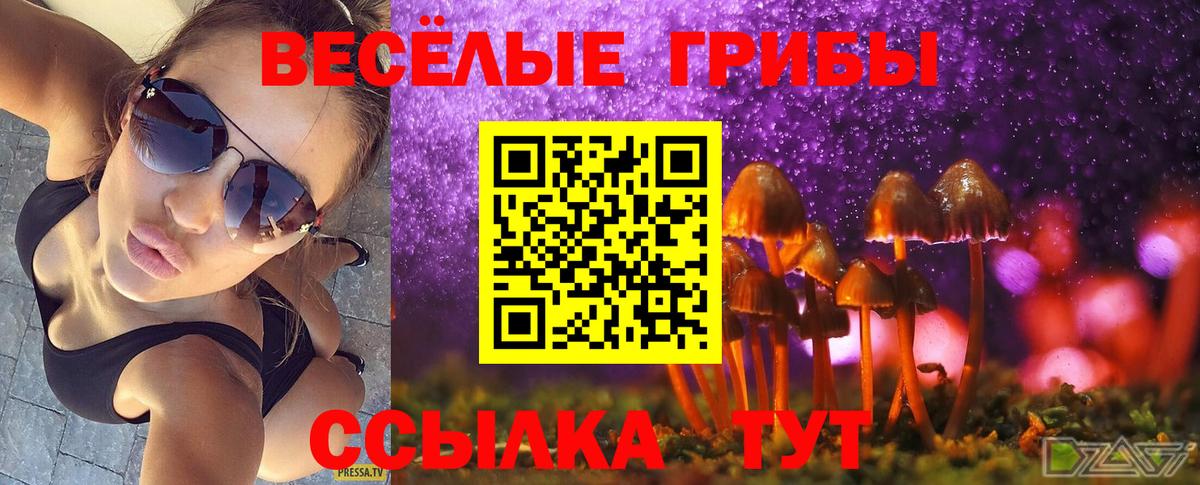 Протвино  Галлюциногенные грибы Psilocybe  Вход с VPN 